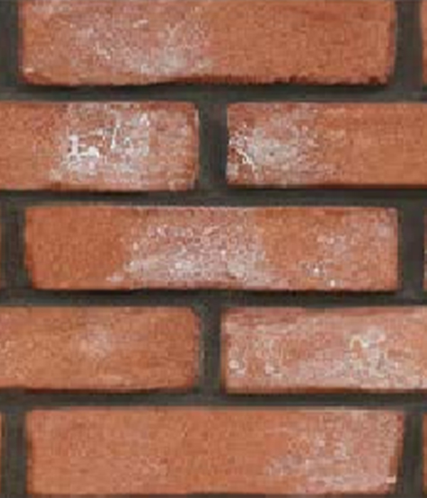 Antik Patara Beyaz